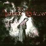 Autumn Flowers : Autumn Flowers Autumn Flowers : Autumn Flowers